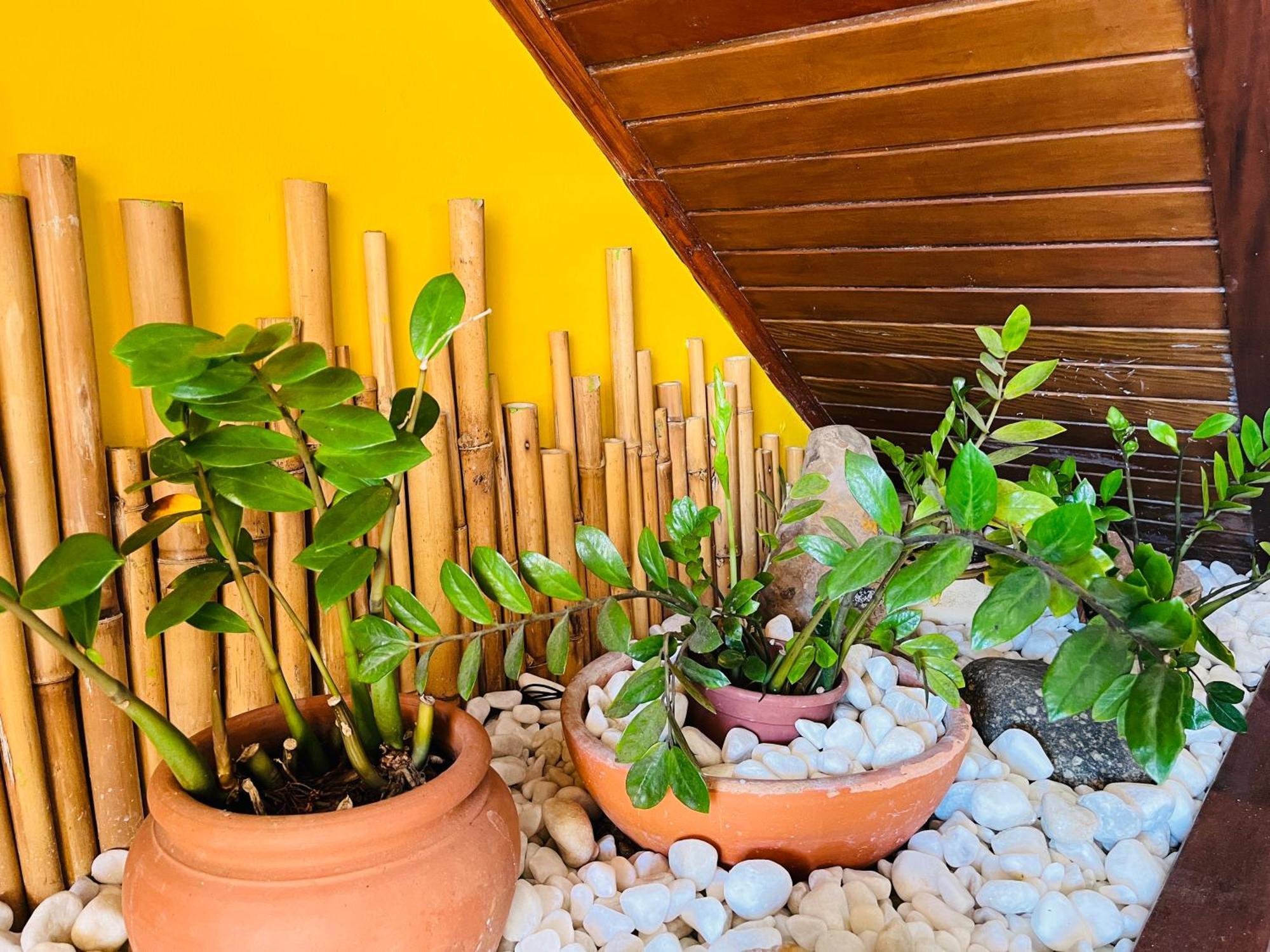 Pousada Canto Dos Golfinhos Ubatuba Exterior photo
